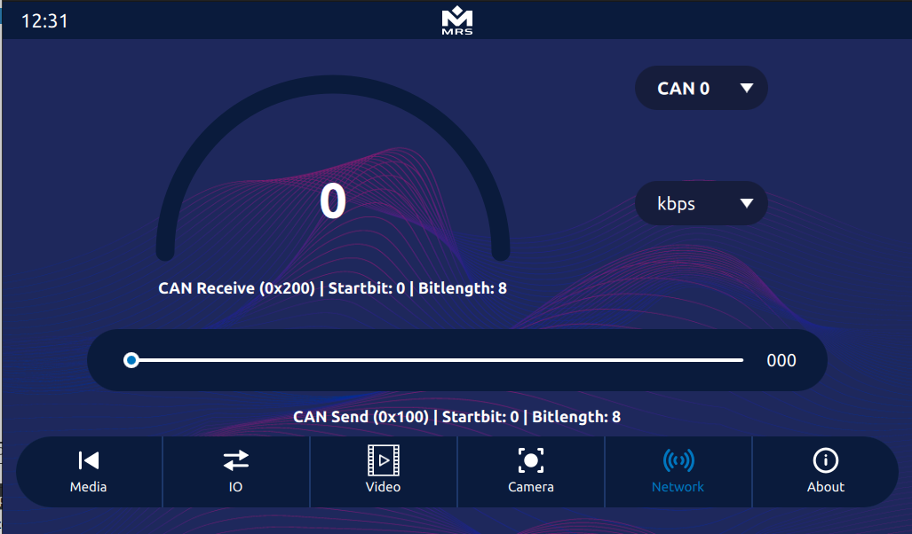 Display of CAN Output